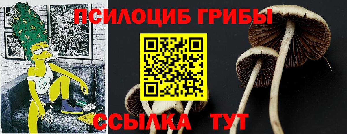 даркнет сайт  Галлюциногенные грибы прущие грибы  Вход с VPN  Истра 