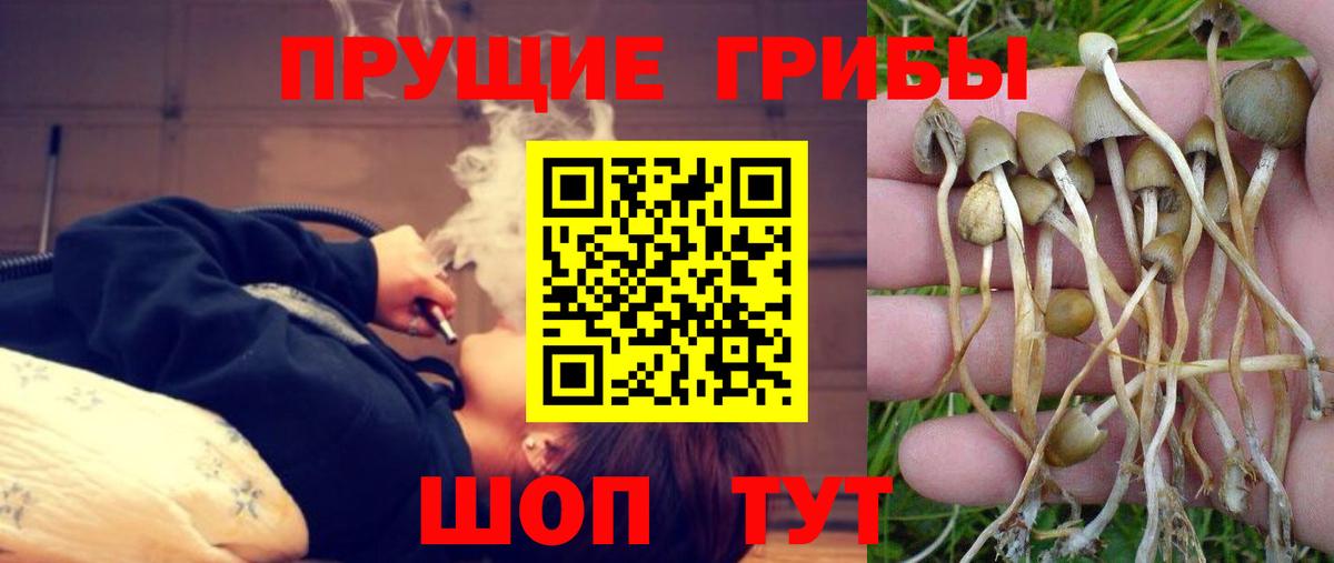 Галлюциногенные грибы MAGIC MUSHROOMS Истра